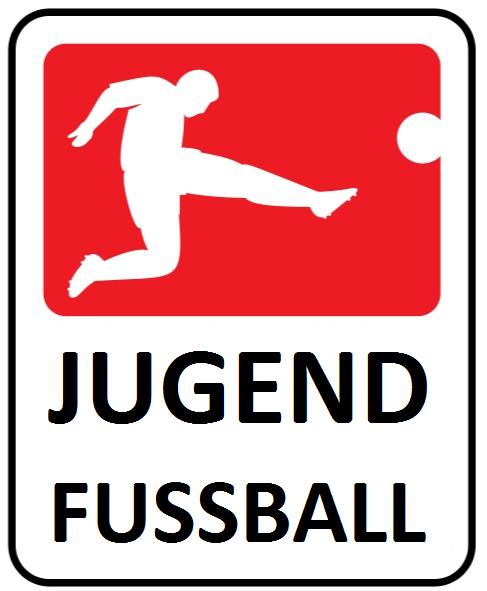 Bildergebnis fÃ¼r jugendfussball logo